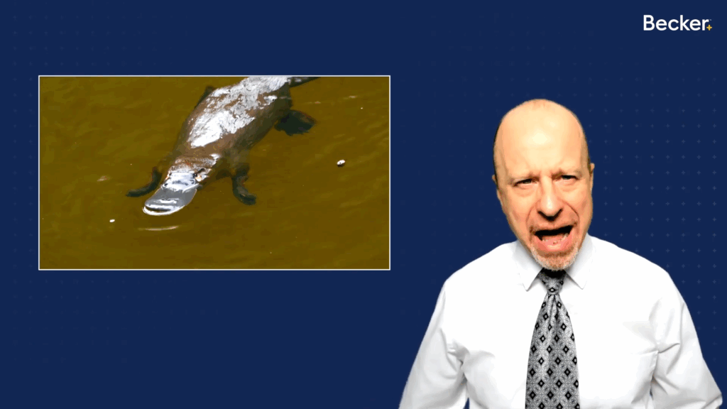 Becker video lecture