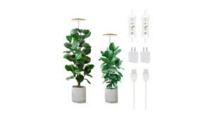 offerpad vs opendoor