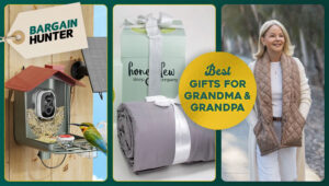 offerpad vs opendoor