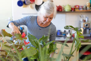 offerpad vs opendoor