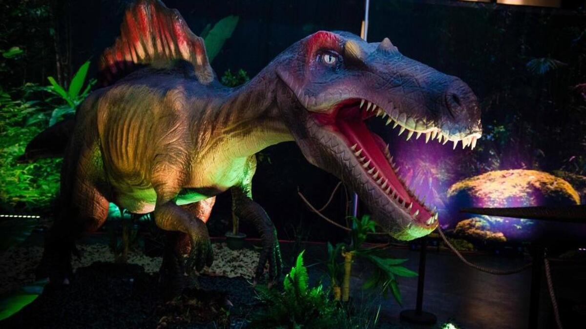 Dinosaur Time Trek: Shark Edition