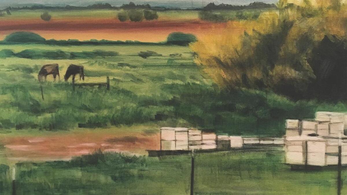 “Cows + Bee Boxes” by Marianne Bland