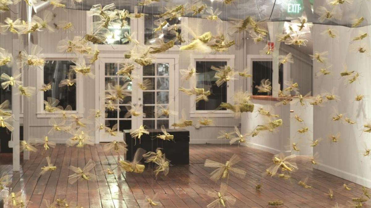 “The Cycle by Cyrus Tilton,” an immersive installation depicting the life cycle of locusts, will be at the Crocker in 2018.