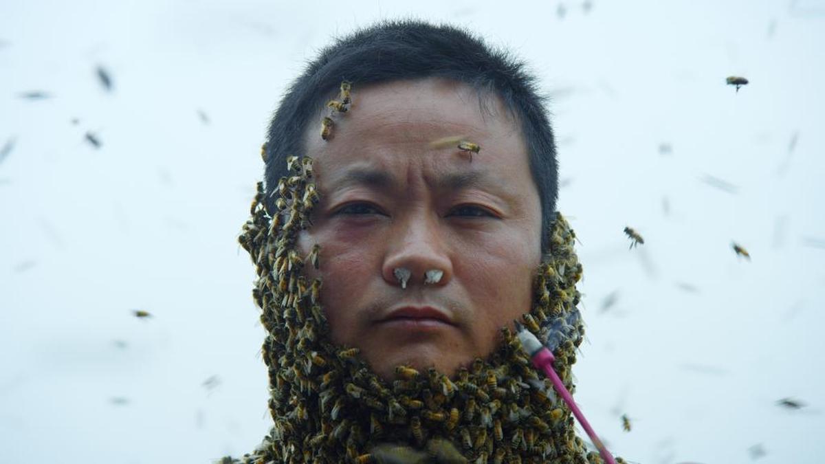She Zuo Bin is shown in a frame from Marc Johnson’s 2014 film “YúYú.”