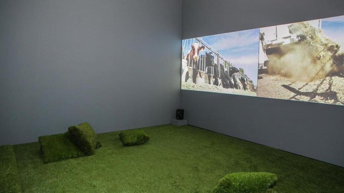 A view of Chris Sollars’ exhibit, “Hoof & Foot: A Field Study,” in the Manetti Shrem Museum of Art