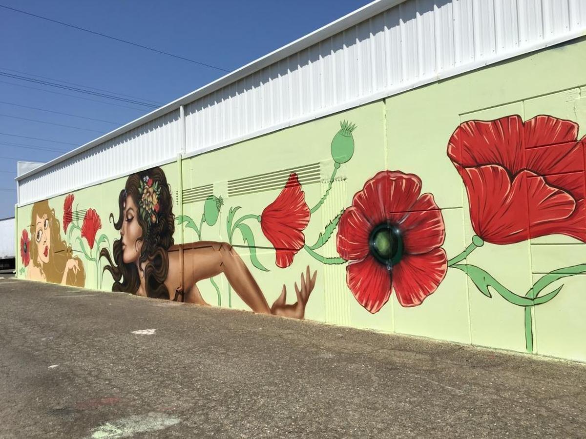 Mural by Few and Far off Power Inn Road.