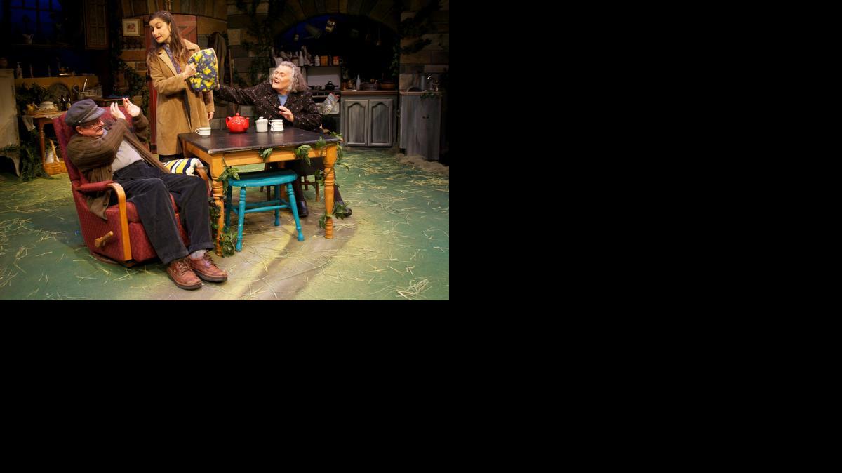 
The B Street Theatre production of “Outside Mullingar,” the latest play by John Patrick Shanley, stars, from left, Greg Alexander, Dana Brooke  and Jayne Taini. It runs through Nov. 23.
