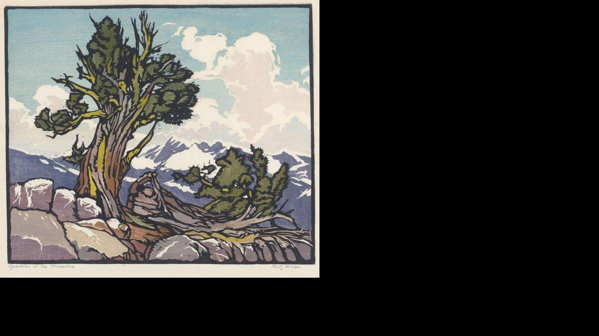 
The block print “Guardian of the Timberline” is the work of William S. Rice, circa 1924.
