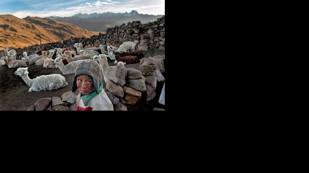 
Following the death of his father, Alvaro Kalancha Quispe, 9, helps his family survive by herding. He opens the gate to the stone pen that holds the family's alpacas and llamas each morning so they can graze throughout the hillsides during the day. He then heads off to school, but must round them up again in the evening in the Akamani mountain range of Bolivia in an area called Caluyo, about an hour from the city of Qutapampa.
