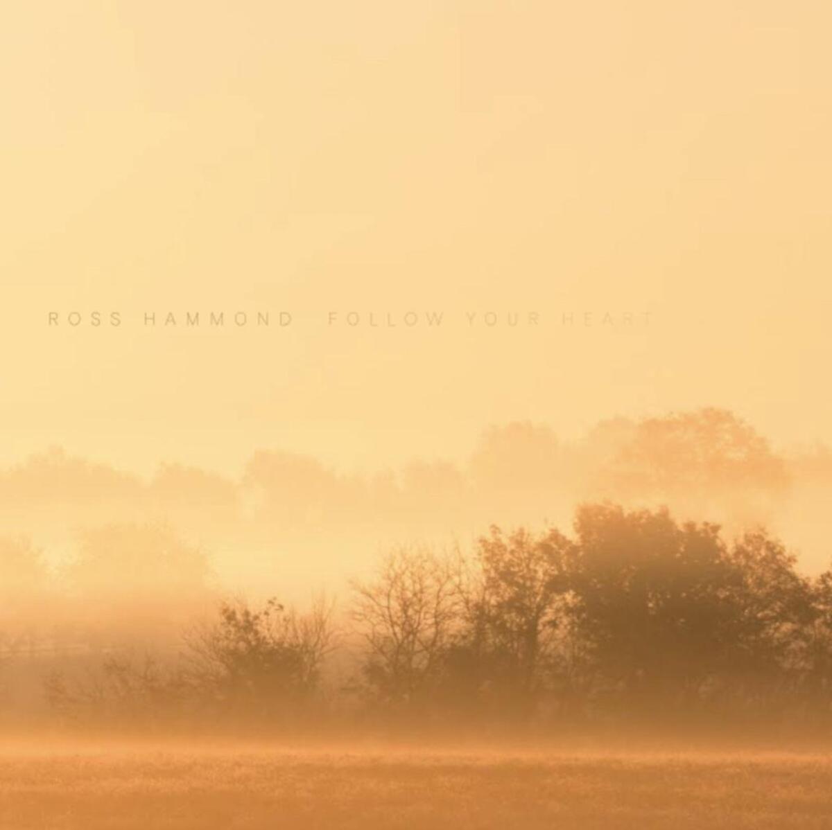 “Follow Your Heart” by Ross Hammond