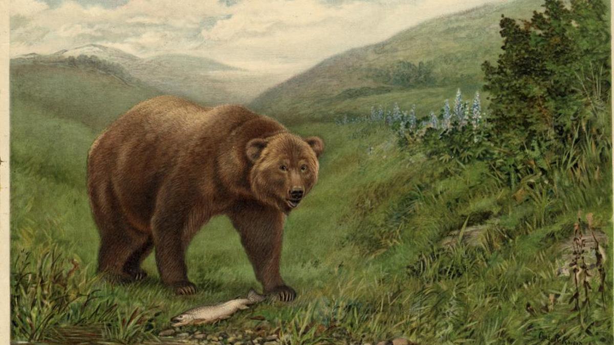 The artwork “Grizzly Bear Fishing” is part of the “Bear In Mind: The Story of the California Grizzly” exhibit that will hang through June 19 at the California Museum.