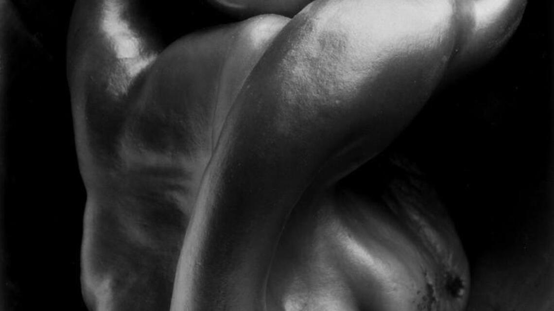 Art review: 4 generations of photography