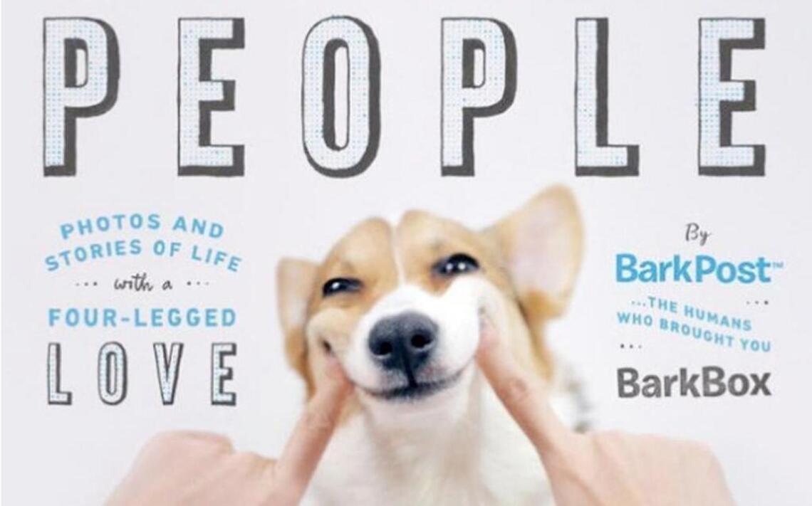 5 new books for the pet lover in you