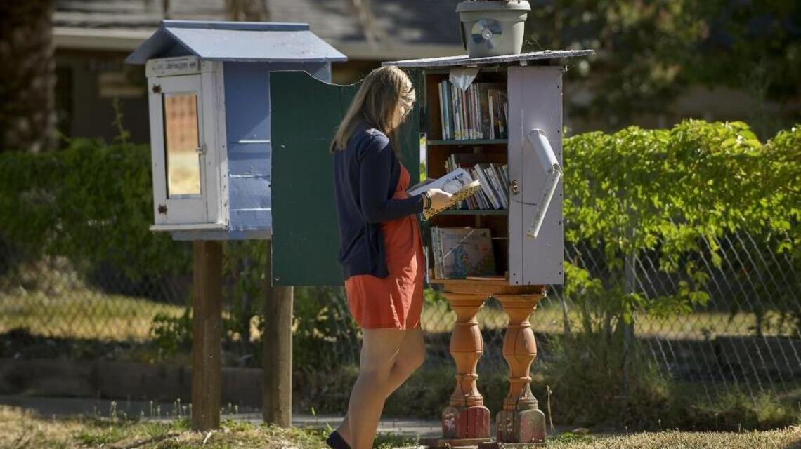 ‘Like a bird-feeder for humans,’ Little Free Libraries thrive in Sacramento