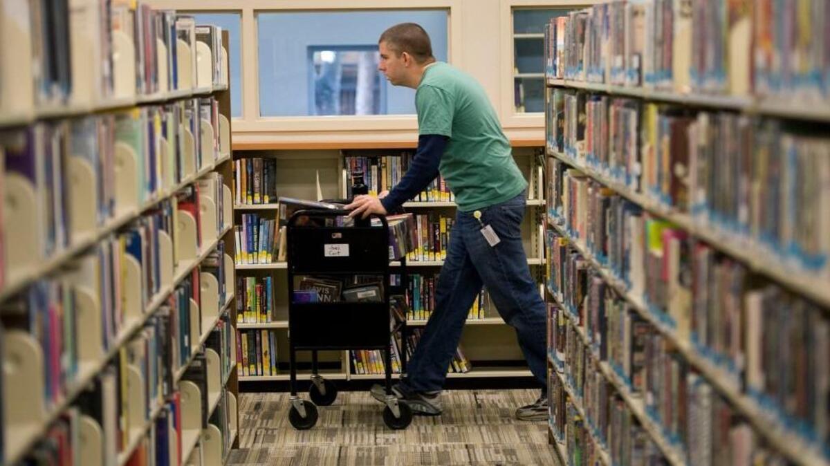 A partir de este mes, las personas del Condado de Yolo que no puedan visitar una biblioteca por enfermedad, discapacidad o falta de transporte podrán acceder gratuitamente a sus libros, revistas y DVD favoritos sin salir de sus casas o centros residenciales.