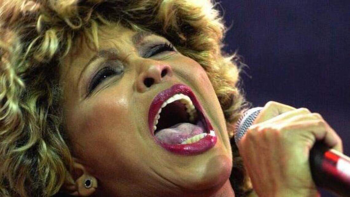 She's got Tina Turner's strut and shimmy down pat