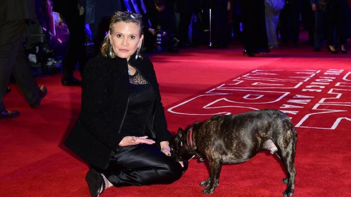 FILE -- Carrie Fisher and dog Gary attending the Star Wars: The Force Awakens European Premiere held in Leicester Square, London, UK, Wednesday December 16, 2015.
