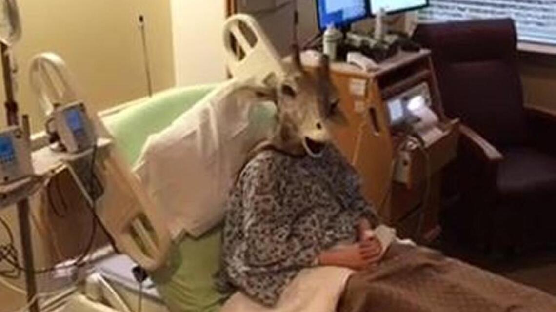 Mom who mocked pregnant giraffe livestream gives birth