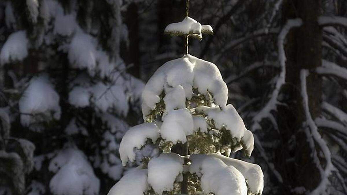 Christmas tree permits for Tahoe and Eldorado will be available online. Here’s what to know