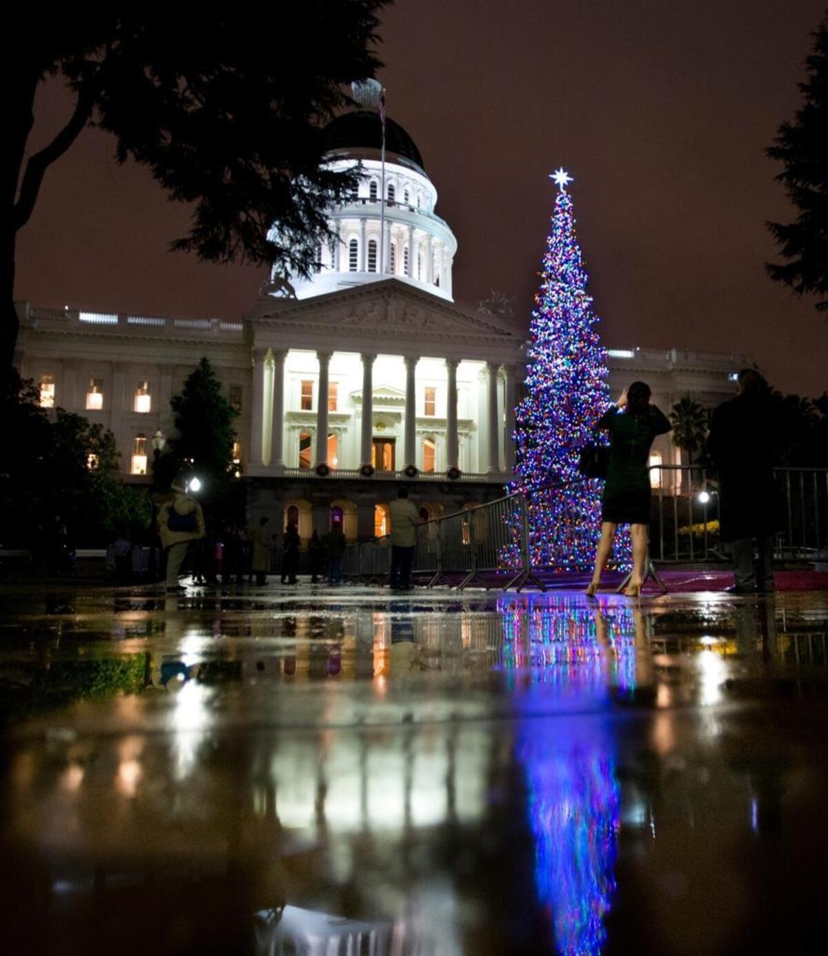 A 53-foot-tall white fir Capitol Christmas tree is reflected in rain puddles during the 83rd annual tree lighting ceremony at the state Capitol in 2014.