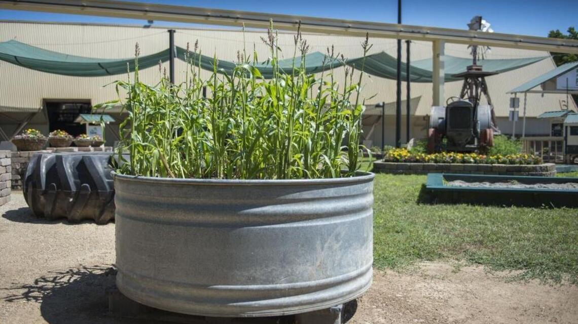 Home gardeners can learn plenty at State Fair