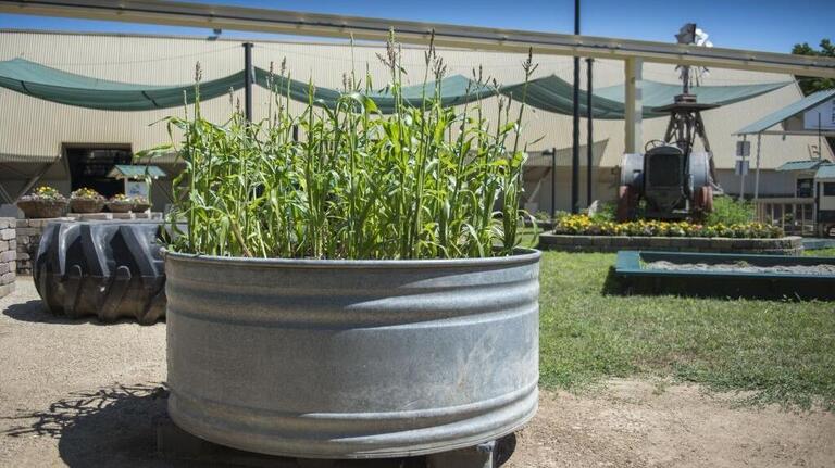 Home gardeners can learn plenty at State Fair