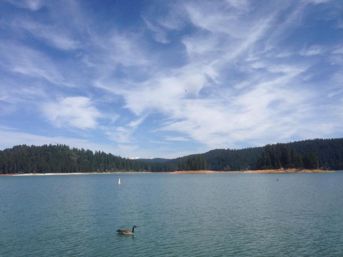 Jenkinson Lake is in the Sly Park Recreation Area.