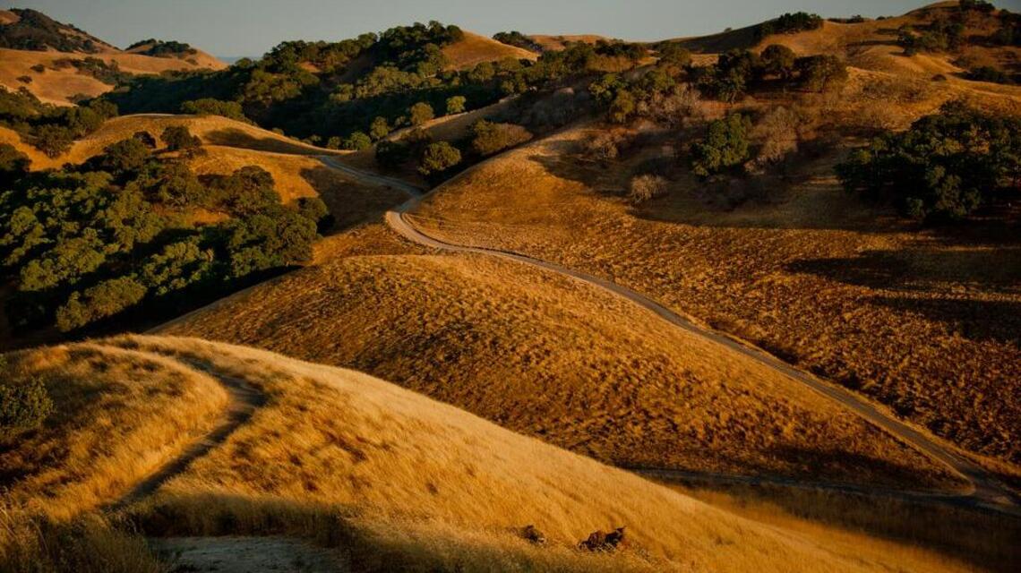 Weekend hike: Shell Ridge in Walnut Creek