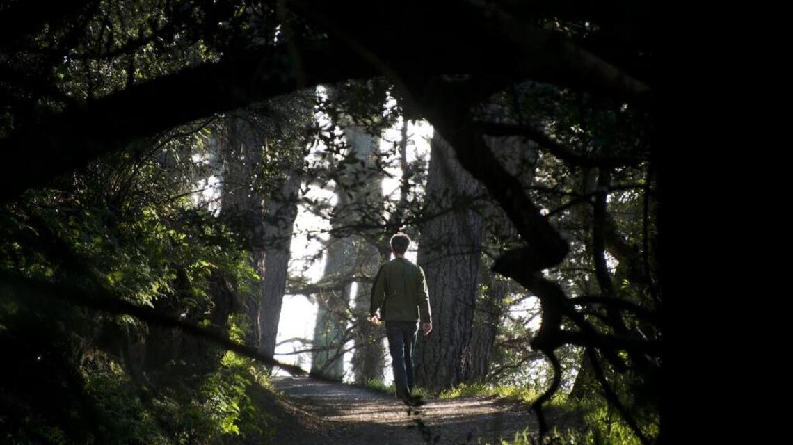 Weekend Hike: Joaquin Miller Park