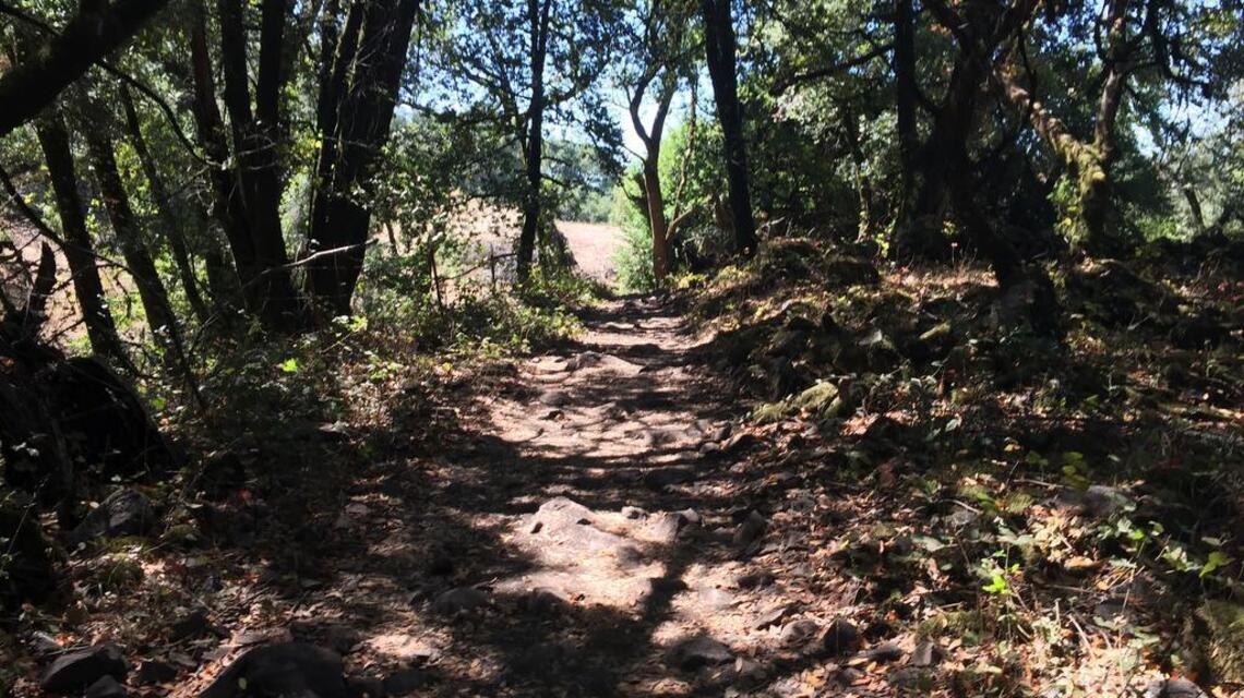 Weekend hike: Taylor Mountain affords peak vineyard views