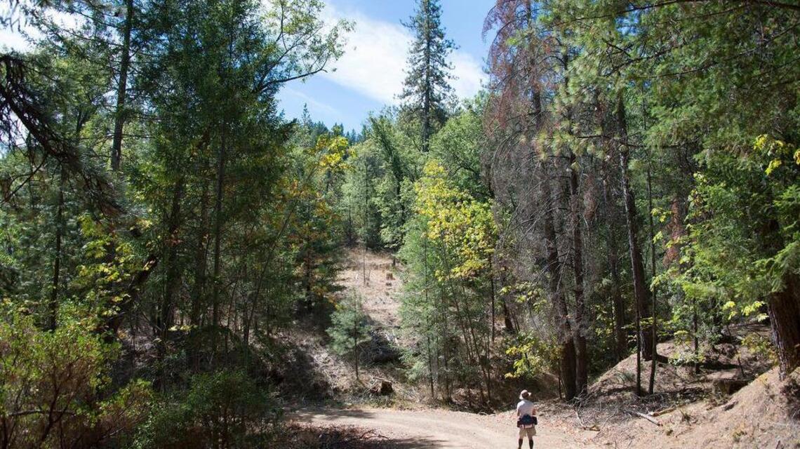 Fresh Tracks: Trail in Lake County is worth the wrong turns