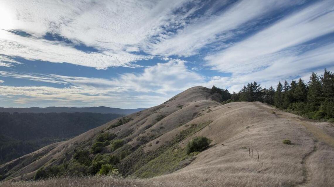 Even a shortened Marin County hike is worth the effort