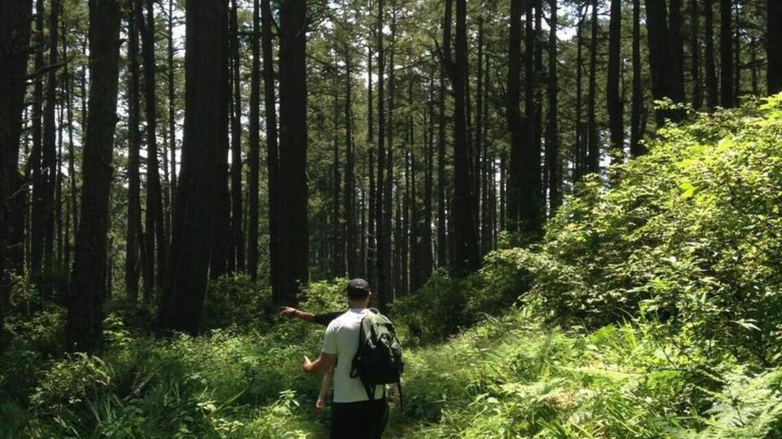 Weekend Hike: Point Reyes retains marvels