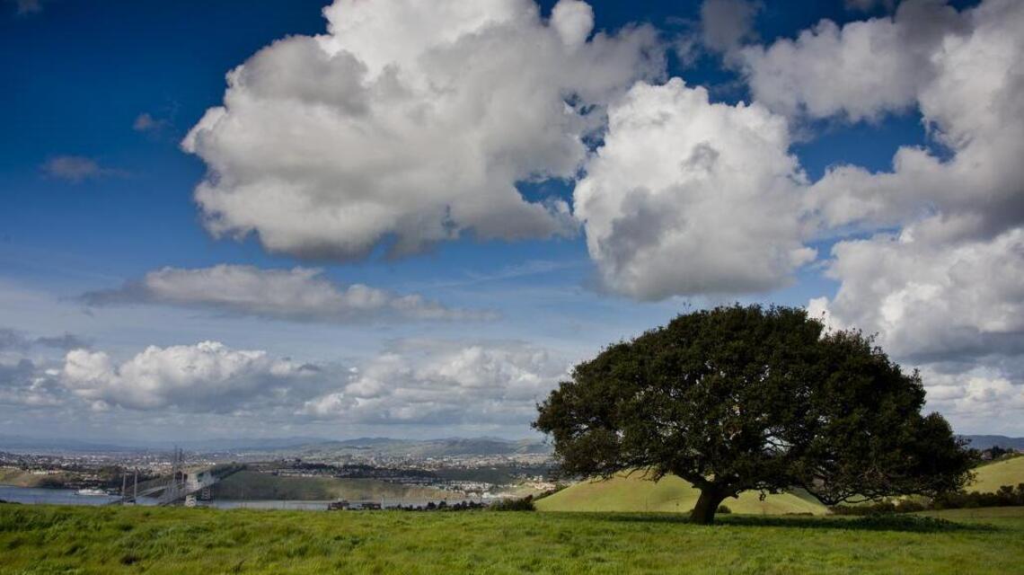 Weekend Hike: Crockett Hills Regional Park