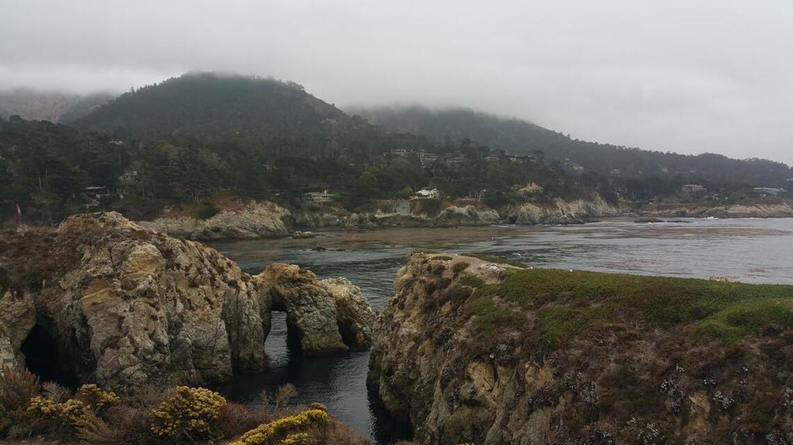 Weekend Hike: Point Lobos State Natural Reserve