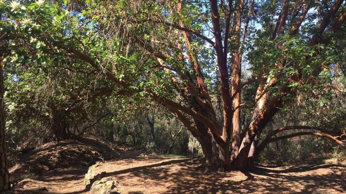 Weekend Hike: Nature area offers wheelchair-accessible loop