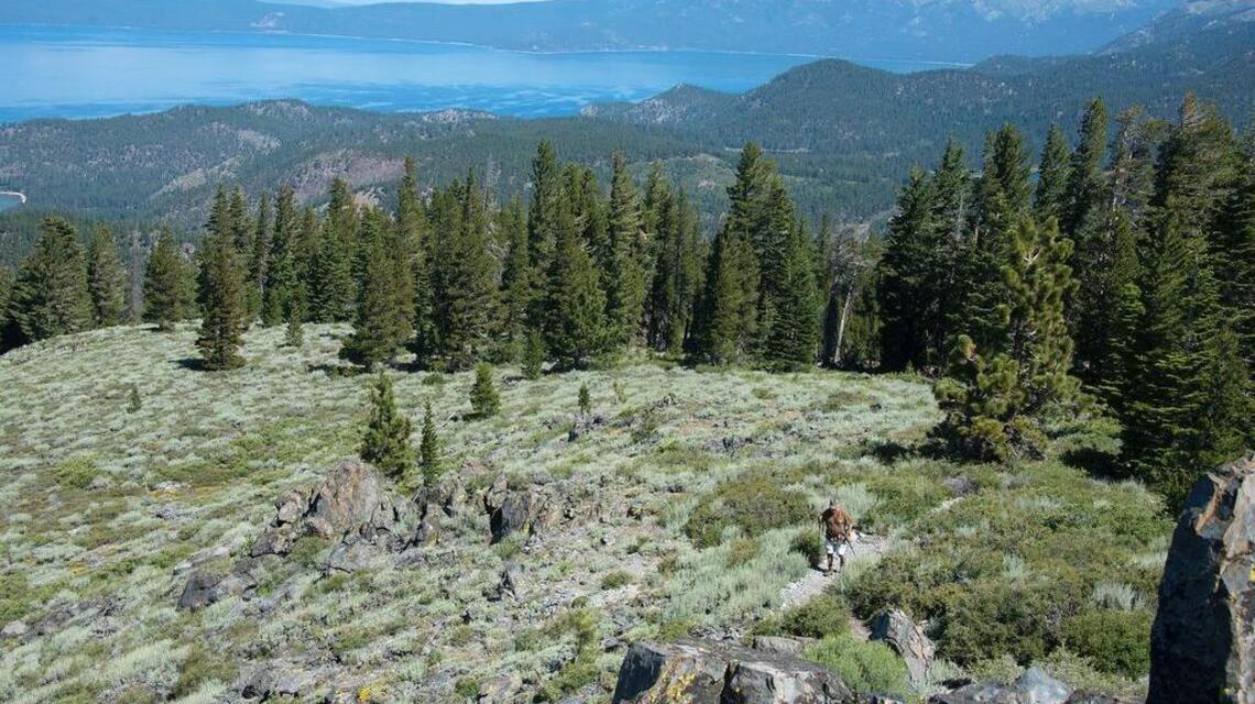Fresh Tracks: Spooner Summit trek may leave you breathless