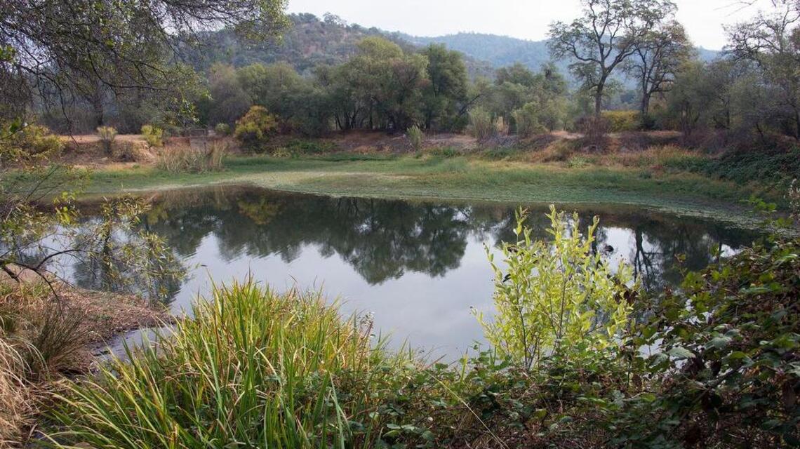 Fresh Tracks: Folsom Lake Recreation Area’s Rattlesnake Bar