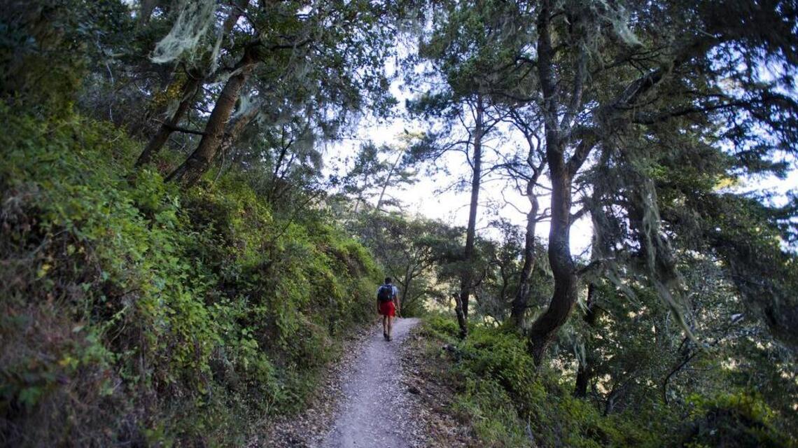 Weekend Hike: Skyline to the Sea Trail