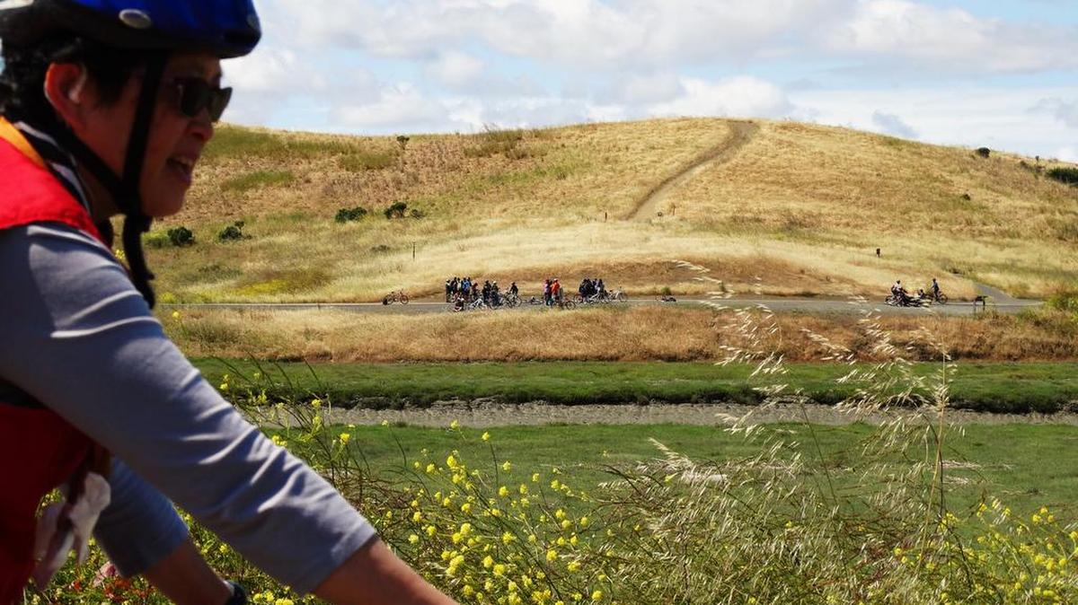 A cyclist on a bike path along Alameda Creek passes a cycling group near Coyote Hills Regional Park.