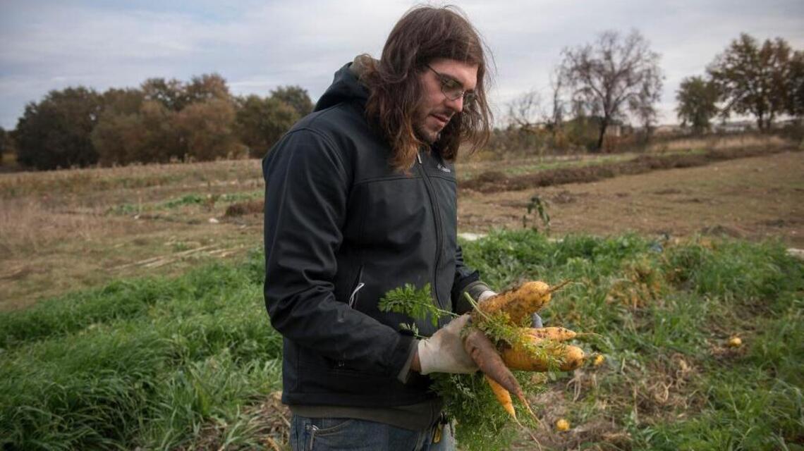 Refrigeration system would help urban farms, promote local economy