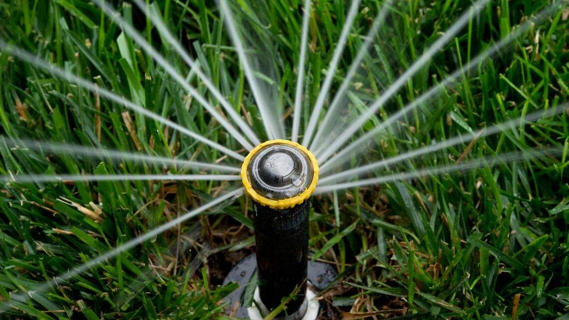 Have a lawn and save water, too. A Rotary Variable Arc Nozzle (R-VAN) from Rain Bird is a more efficient alternative to conventional sprinkler heads.