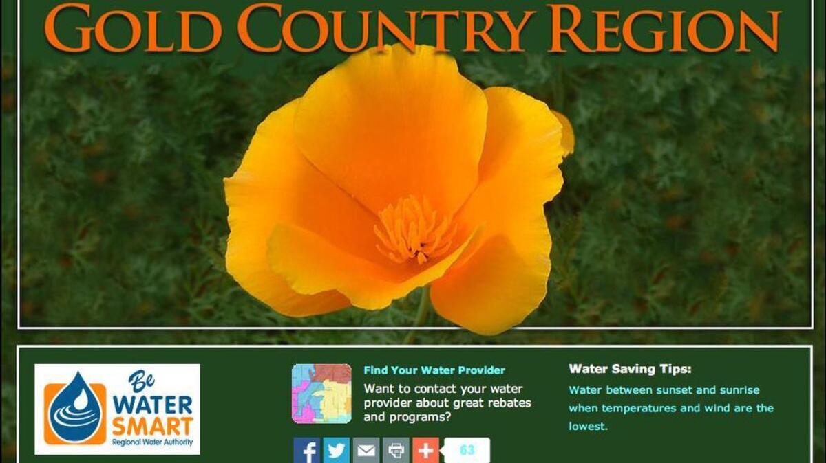 Check out the Regional Water Authority’s “Water-Wise Gardening in the Gold Country Region,” an online guide to drought-tolerant makeovers.
