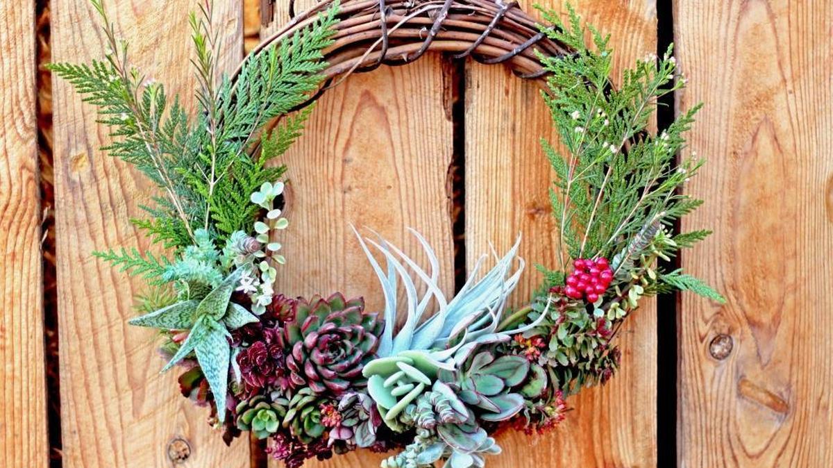 Succulents combine with cedar sprigs to make this attractive grapevine wreath that will stay fresh for weeks.