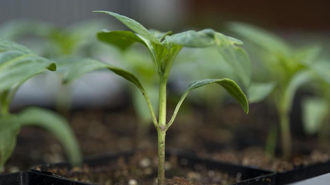 It’s critical that we understand the fundamental connection between the ground beneath our feet and the many forms of life it sustains.