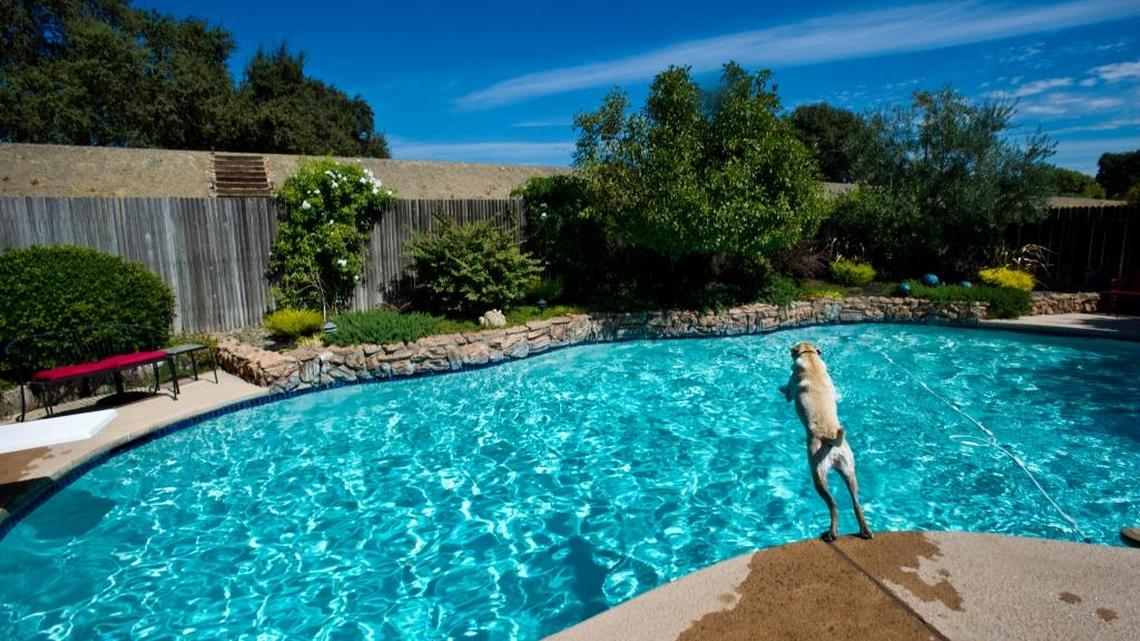 Both saltwater and fresh pools use some form of chlorine to keep water clean, clear and bacteria free. In freshwater pools, like this one in Sacramento, liquid chlorine is added as needed.