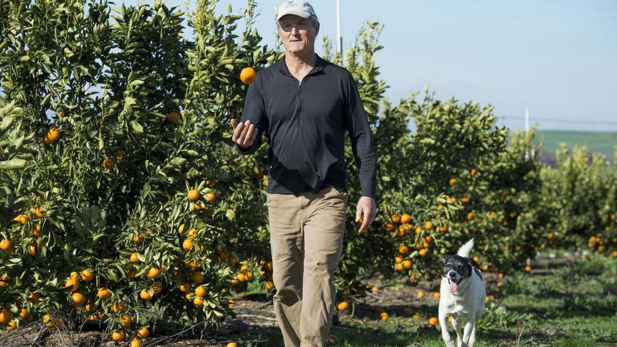 Chris Strutz, owner of Strutz Farm in Sloughhouse, walks through his 5-acre orchard along with his dog Bella.