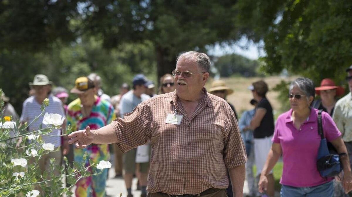 Warren Roberts, the pun-loving and all-knowing superintendent emeritus for the UC Davis Arboretum, now acts as wise-cracking tour guide of the gardens he helped create. Once a month, he leads noontime free strolls through the arboretum for visitors.