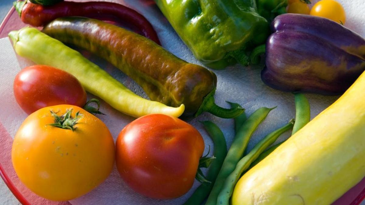 Sweet peppers, zucchini, beans and tomatoes are vegetables that can be grown in a kitchen garden.