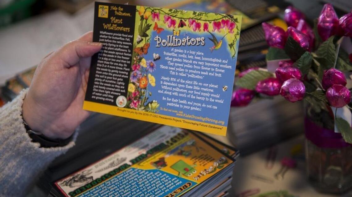 How to get kids interested in gardening? Encourage them to grow seeds